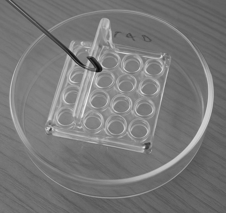 Parting Basket Lifting Hook - Image 2