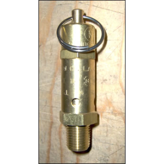 1/4 in 100psi safety valve