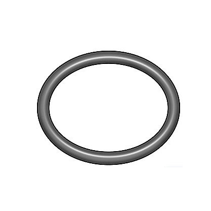 Terminator O-ring JCT063C (2 req)