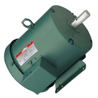 Motor for BICO WD & VD Jaw Crusher 3hp 3ph