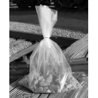 8" x 10"  0.004" (4mil)  Poly Bag - Bundle of 100