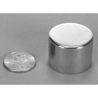 1 x 3/4 " Rare Earth Neodymium Magnet - 55 lbs Pull Force