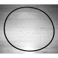 250 ml Pulverizer Lid O-Ring (Oversize)